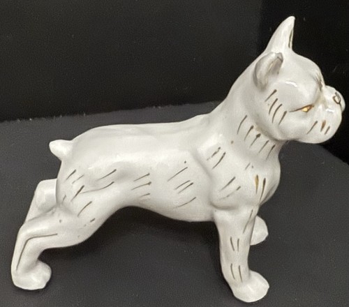 French bulldog boxer dog - bulldog,