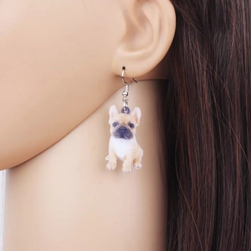 French bulldog frenchie puppy - frenchie,