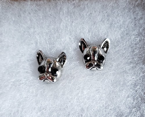 Claire french bulldog - french,