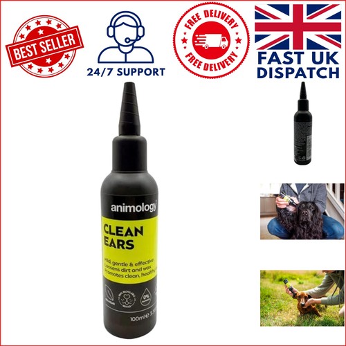 Clean ears dog - , cleaning
