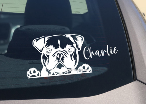 French bulldog floppy ears - french,