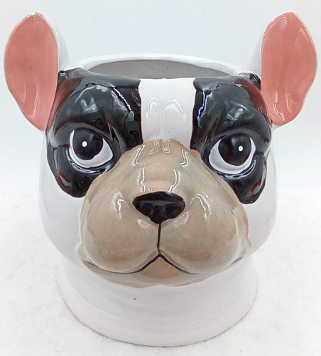 Dog frenchie pup - dog, face