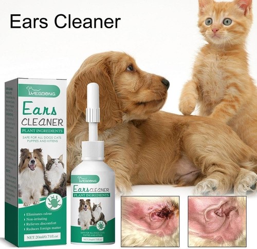 Dog ear cleaner - dog,