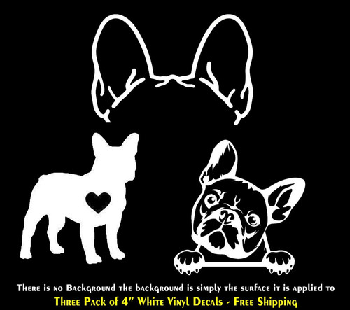 French bulldog frenchie - bulldog,